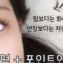 뷰티311 네이버블로그
