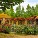 한밭수목원 이미지