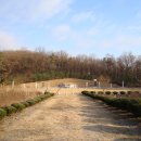 이천서씨 묘 이미지