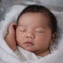 혜성산부인과병원 | <임신 일기> 24주 5일 임당검사 &amp; 정밀초음파 후기 | 압박스타킹 처방 | 임산부 배크기