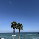 함덕연세의원 | 제주 귤하르방 해녀 스냅 강민경 맛집 각지불 아구탕 에코랜드 산굼부리 탑동365일의원 미친부엌 포장