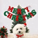 넌나의가족 이미지