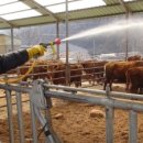 토고미농장 이미지