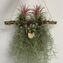 (원데이) 그린 플랜트 이미지