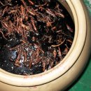 문호농장 이미지