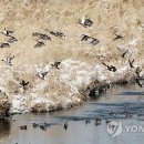 양영석농장 이미지