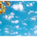 푸르른날 이미지