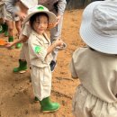 (주)아이월드제약 | 푸꾸옥 가족여행 Day2 빈펄사파리 주키퍼 뉴월드 선셋타운