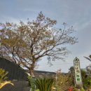 조용한생활 민박 이미지