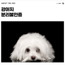 개님살롱 이미지