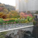 금호아파트 진입로 이미지