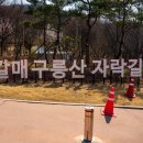 구릉산자락길 이미지