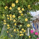 청도자동차공업사 이미지