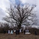 순종대왕 태실 화소비 이미지