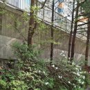 일청로91번길 이미지