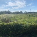 동일2리 마을회관 이미지