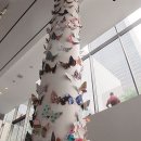 나비,날아오르다 이미지