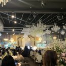 메종 팰리스 대전 | 대전 웨딩홀 투어 두번째, 메종드보네르(26년 하반기 예식)