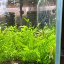 안시농장 이미지