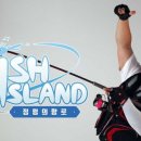 리듬 아일랜드