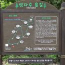 삼다수숲길 2코스 이미지
