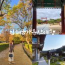 경전철 수로왕릉역 | 김해국가유산야행 드론쇼 일정 총정리 ! 주차장, 푸드트럭 메뉴