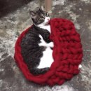 서대문구 연희동 주민센터 3층 미래창작소 | [참가 신청] 고양이 털실 바구니 만들기