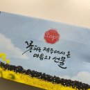 명원가떡집 | [수제간식 추천 💛] 🌊 꽃피는 제주에서 온 특별한 간식, 오메기명원 오메기떡 후기❗️(명원가떡집)