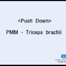 Triceps Brachii - Push Down 이미지