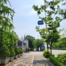 [전주 카페] 전주 러너들이 모이는 곳, <전주 한옥마을 평화와 평화, 좋은주방> + 휘낭시에 후기 추가
