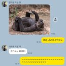 생각이크는작은도서관 | [2603-2] 오늘도 인생을 대충 이해한 척 했습니다