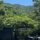 서지관광농원여관 | 경남 산청 서지관광농원 서지농원 /가성비 물놀이 리얼 내돈내산 후기