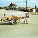 로터리길 이미지