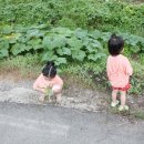 공주외가집떡