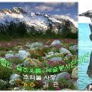 No.42 - 조약돌 사랑- 가수 김준 : 5월10일 부천시 진달래공원 공연 (비공개) 이미지