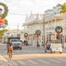 Pet's Tree 이미지