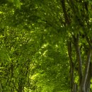 길은목장 이미지