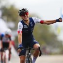 제리월드 이미지