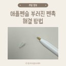 옷핀 | 애플펜슬 펜촉 부러졌을 때 해결 방법 (옷핀 사용법)