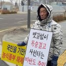 비안도수산 이미지