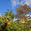 고은관광농원 휴양콘도미니엄 이미지