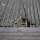 익산고등학교 이미지