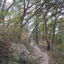 장원초등학교 이미지