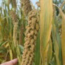 중산농장 이미지