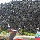 고망돌담 이미지