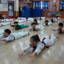 조원태권도장 이미지