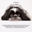 지산동물병원 이미지