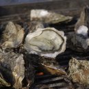 (주)석화 이미지