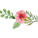 하나문화사 - 강북구 | 하나문화사