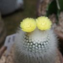 소정꽃화원